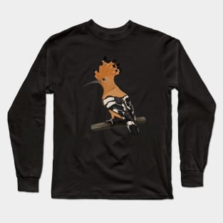 Hoopoe Bird Art Birdlover Birdwatcher Animal Ornithologist Long Sleeve T-Shirt